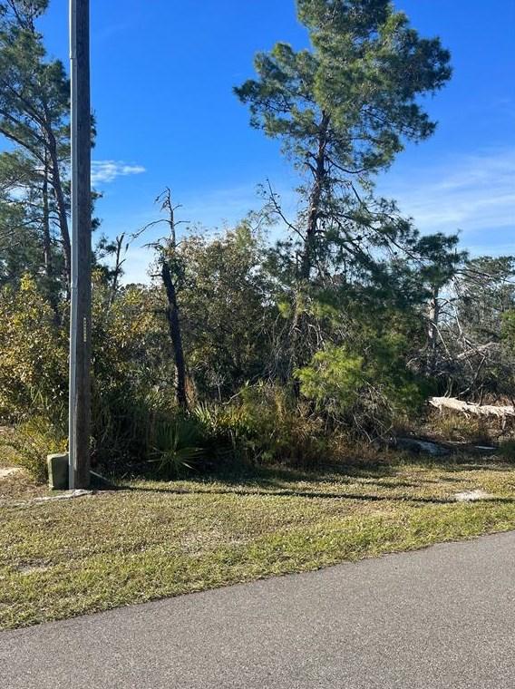 105 Elba Dr, Lake Placid, FL 33852 - MLS OM669021 for Sale
