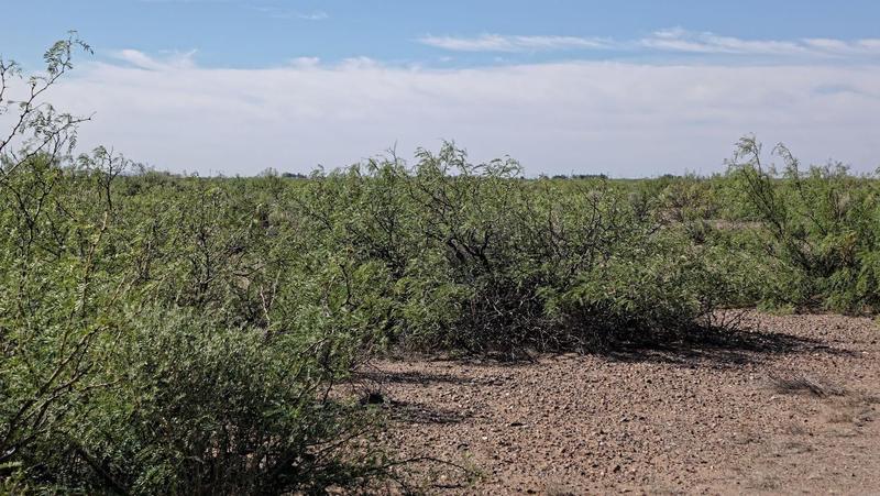 Deming, Luna County, NM Recreational Property, Undeveloped Land, Homesites for sale Property ID: 418356681