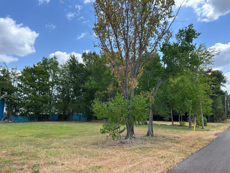 Pearl, Rankin County, MS Commercial Property, Homesites for sale Property ID: 417583434