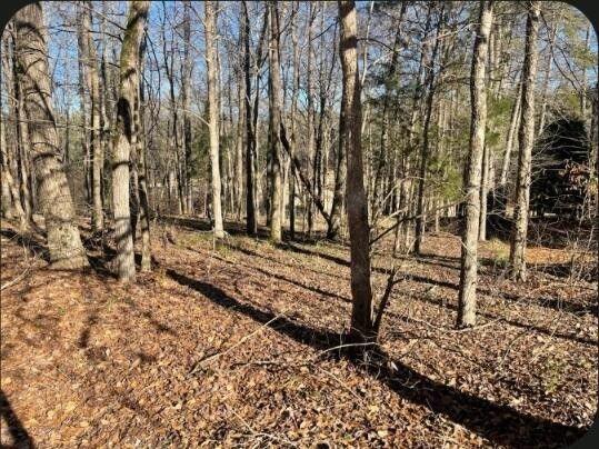 North Augusta, Edgefield County, SC Undeveloped Land, Homesites for sale Property ID: 416468190