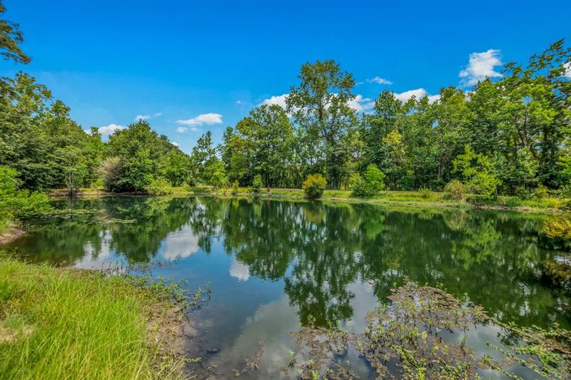 19477 Fm 1314 Rd, Porter, TX 77365 for Sale