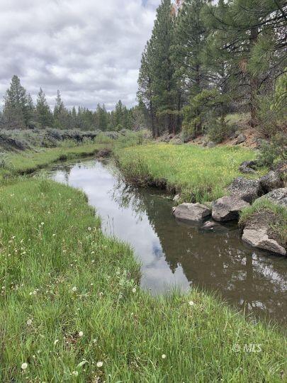 Davis Creek, Modoc County, CA Undeveloped Land for sale Property ID: 414067296