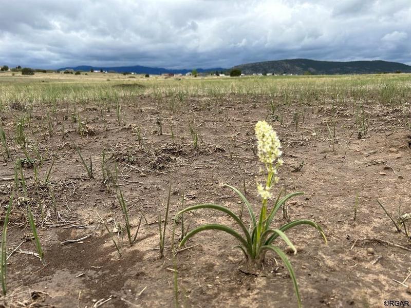 Colorado City, Pueblo County, CO Homesites for sale Property ID: 416465058