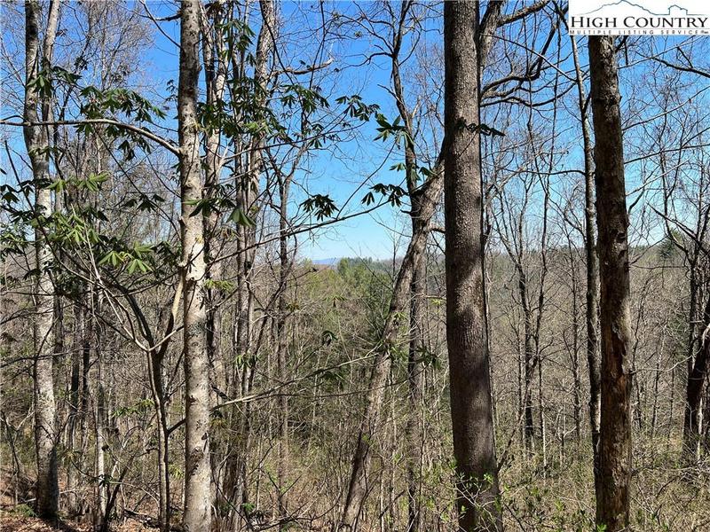 L75-76 N HIDDEN MOUNTAIN LANE, Crumpler, NC 28617 Land For Sale  MLS# 245450 for Rent