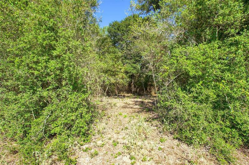 00 County Rd 151, Bedias, TX 77831 for Sale