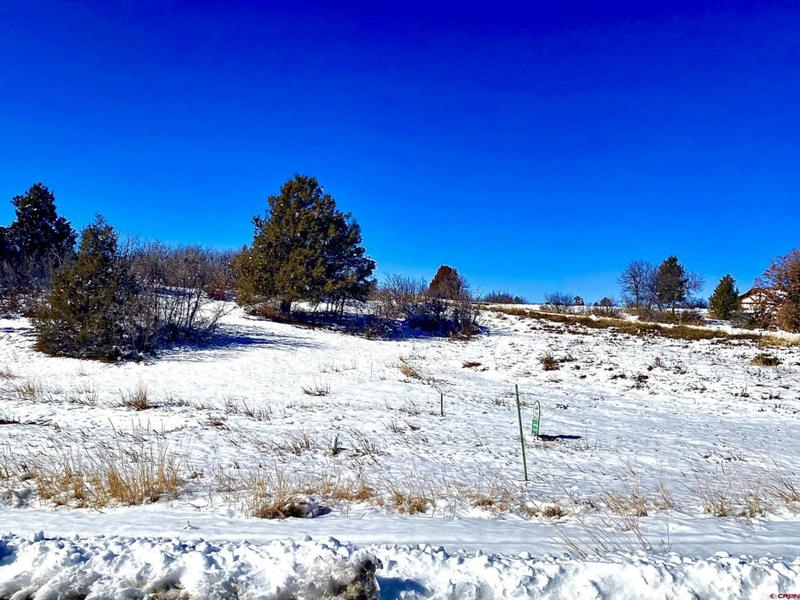 367 CASEY CT, Pagosa Springs, CO 81147 Land For Sale  MLS# 806877