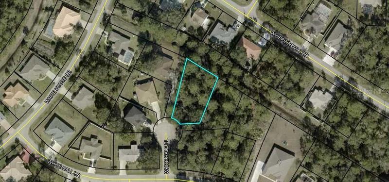 Palm Coast, Flagler County, FL Undeveloped Land, Homesites for sale Property ID: 418531340