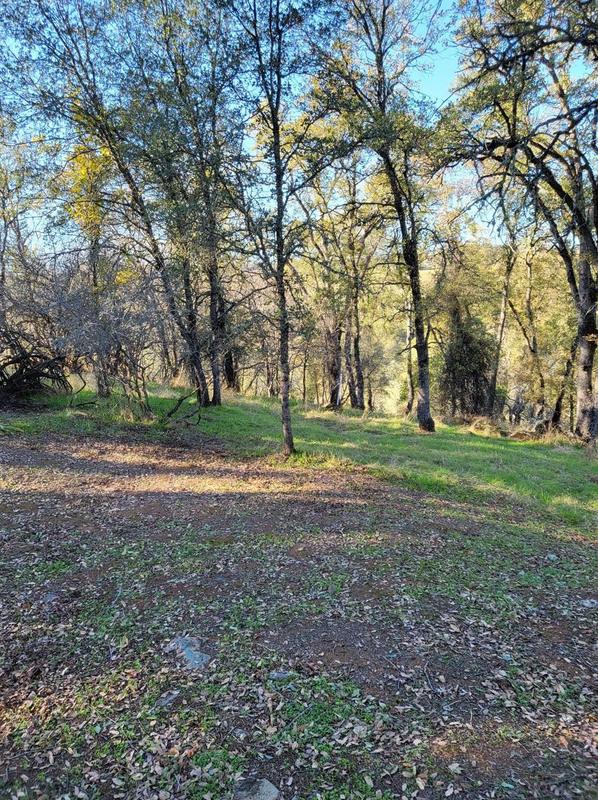 0 Boarman, Jackson, CA 95642 - MLS 223109662 for Sale