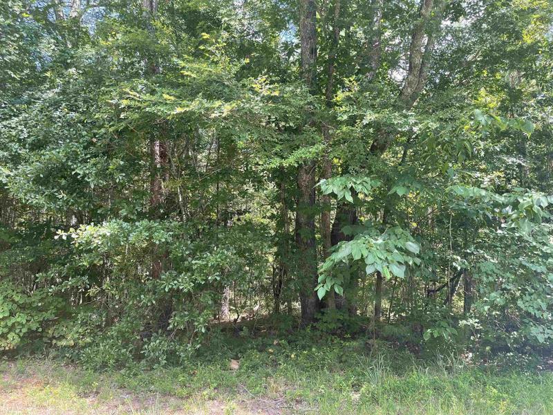 Union Point, Greene County, GA Undeveloped Land for sale Property ID: 417098943