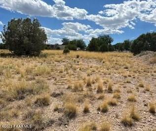 2685 W Quail View Loop, Chino Valley, AZ 86323 - MLS 1058535 for Sale