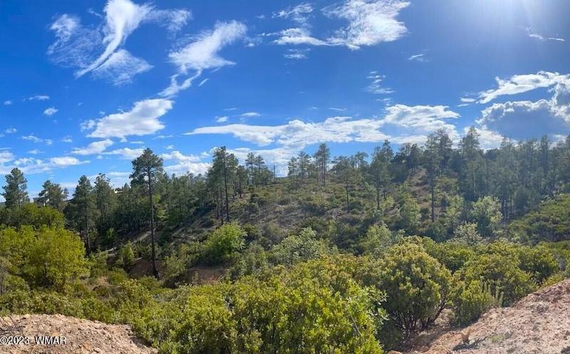 6303 Deer Run Rd, Show Low, AZ 85901 - MLS 248610 for Sale