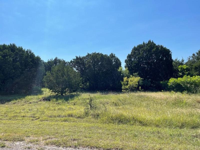 43137 Lantana Dr, Whitney, TX 76692 - MLS 20367251 for Sale