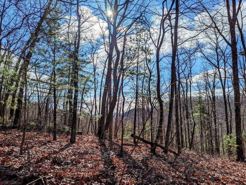 Hiwassee, Pulaski County, VA Undeveloped Land for sale Property ID: 415161052