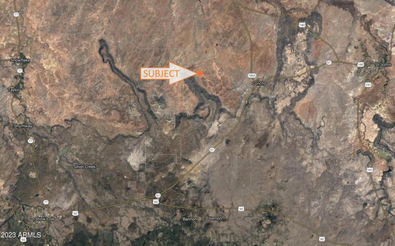 20 COUNTY ROAD N8445, Concho, AZ 85924 Land For Sale  MLS# 6578873 for Rent