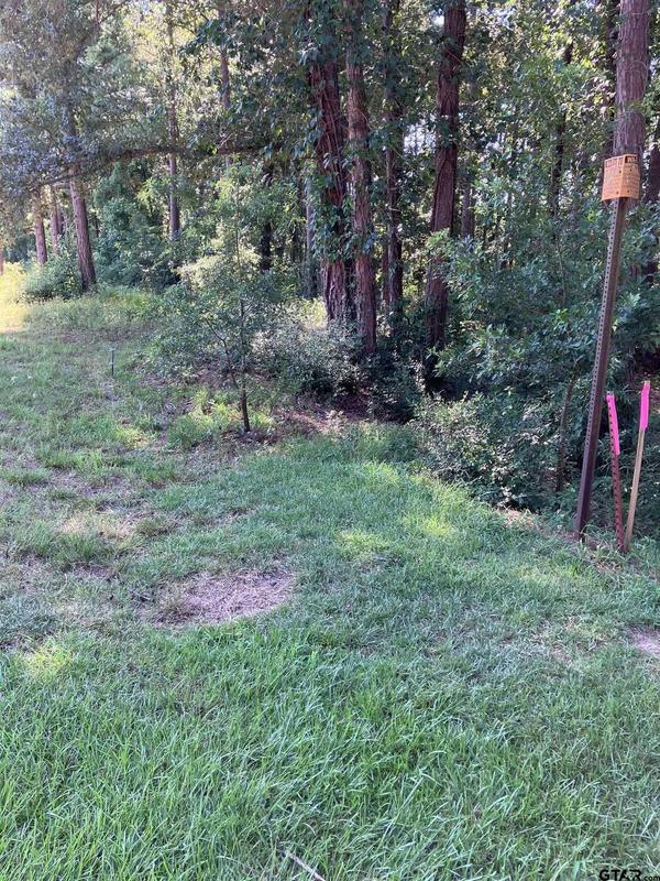 Lot 46 Wilson Road, Tyler, TX 75707  615314399 for Sale