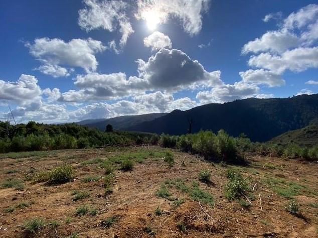 31000 Loma Chiquita Rd, Los Gatos, CA 95033 - MLS ML81930732 for Sale