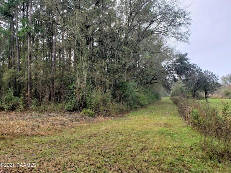 TBD MAGNOLIA SHADES, Ville Platte, LA 70586 Mobile Home For Sale  MLS# 21011653