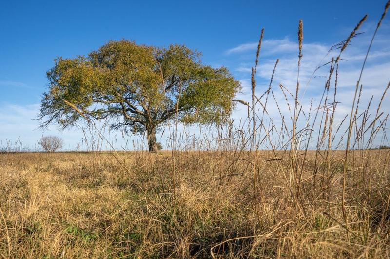 Tbd US 377 Hwy, Whitesboro, TX 76245 - MLS 20475485 for Sale