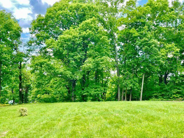 44 GREEN HILL ESTATES RD, Monticello, KY 42633 Land For Sale  MLS# 20116007