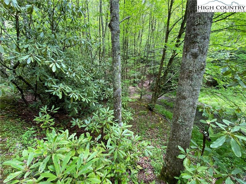 58 RHONEYS VIEW RD, Newland, NC 28657 Land For Sale  MLS# 244232