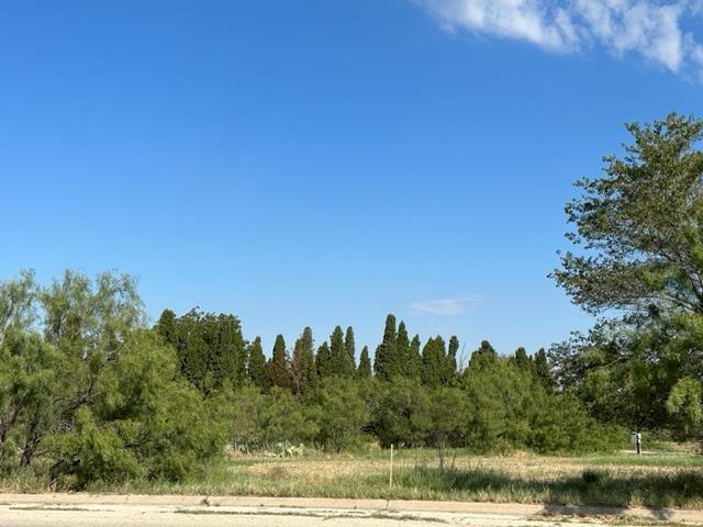 2401 E 25th St, Big Spring, TX 79720 for Sale