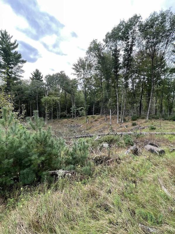 8 382 Acres Townline Road #Lot 12 Of Wccsm 1096, Wisconsin Rapids, WI 54494 - MLS 22105287 for Sale