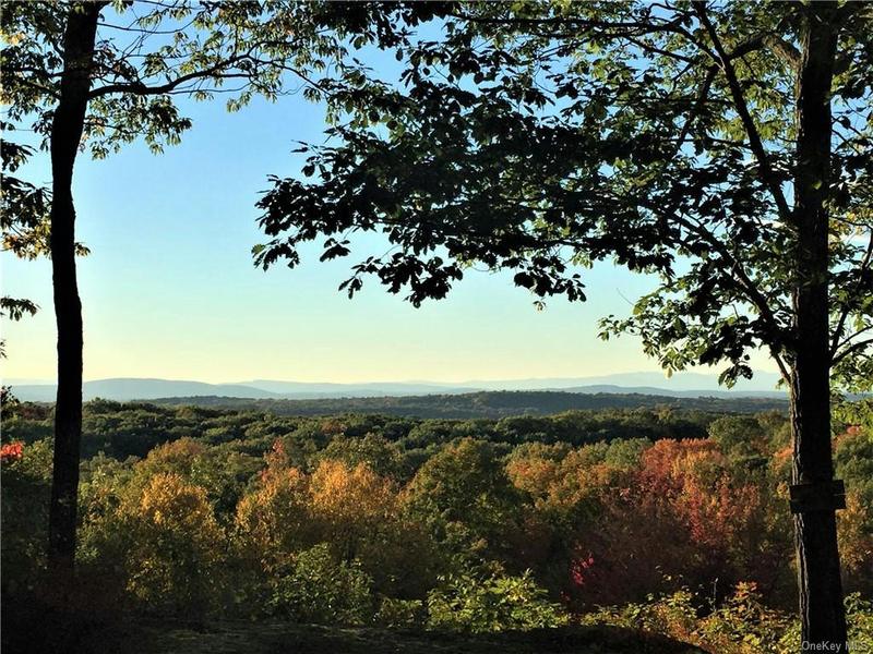 000 SKIDMORE ROAD, Pleasant Valley, NY 12569 Single Family Residence For Sale  MLS# H6262971