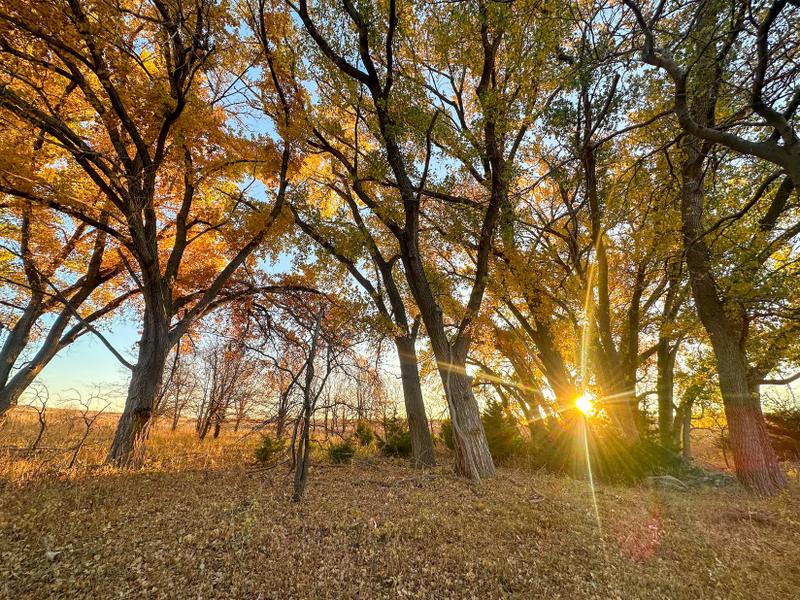 Hill City, Graham County, KS Farms and Ranches, Recreational Property, Hunting Property for sale Property ID: 418522453