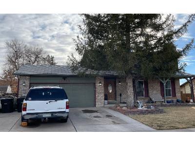 Elm Dr for Sale