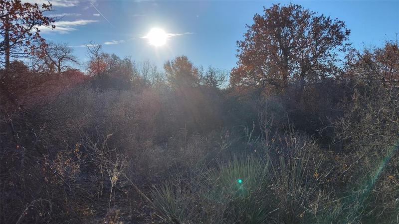 TBD Oakwoods S/Pvt Rd 354, Hawley, TX 79525 for Sale