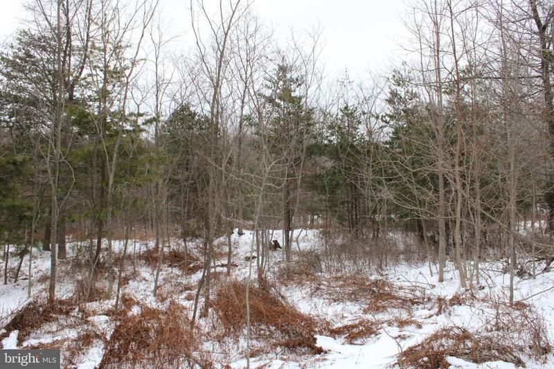 LOT 178 MAJESTIC VIEW LANE, ROMNEY, WV 26757  618633338 for Sale