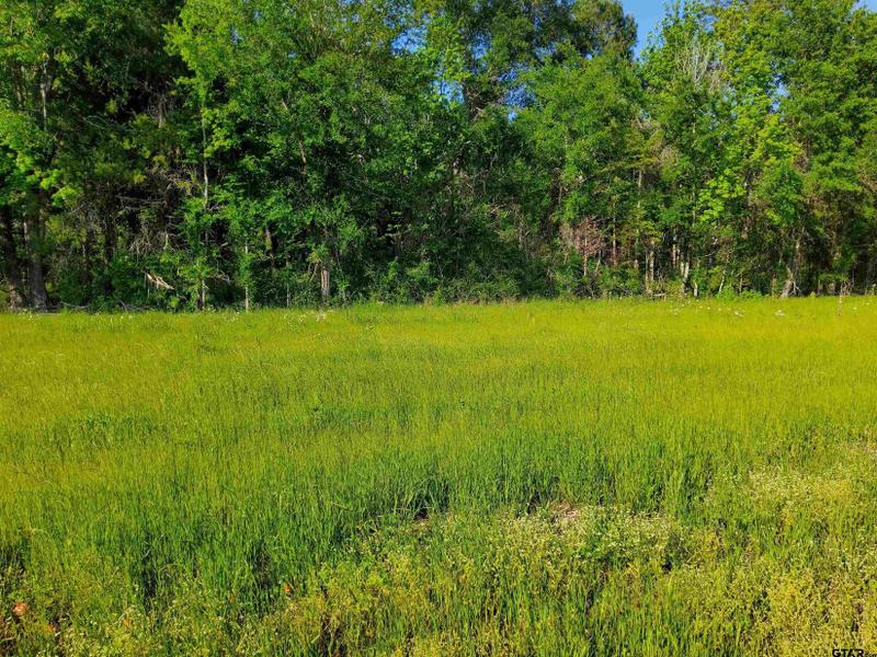 Hawkins, Wood County, TX Undeveloped Land, Homesites for sale Property ID: 416652833