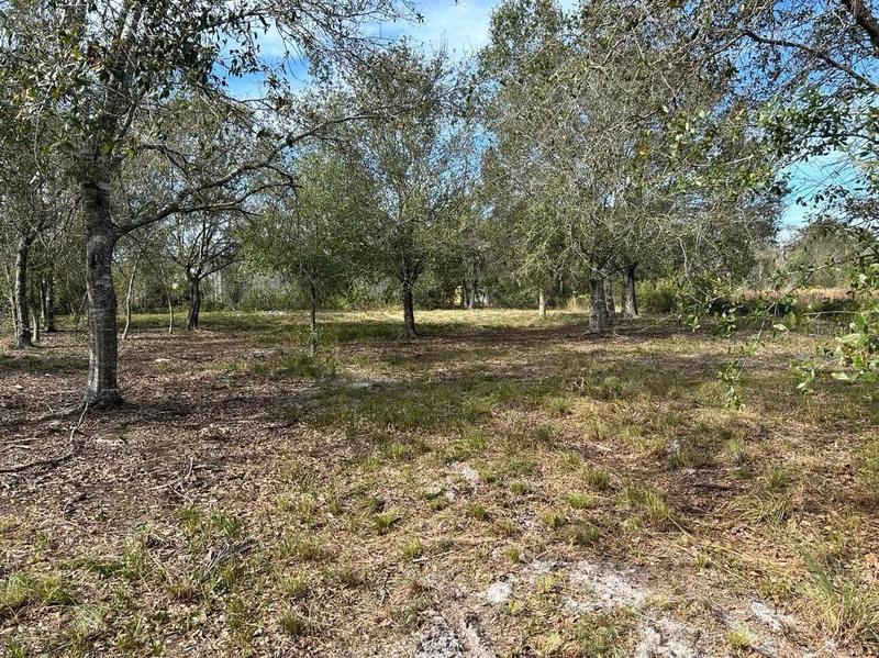 Punta Gorda, Charlotte County, FL Undeveloped Land, Homesites for sale Property ID: 418485630
