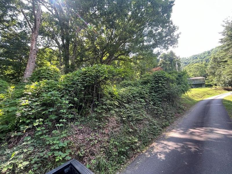Webster, Jackson County, NC Homesites for sale Property ID: 413990642