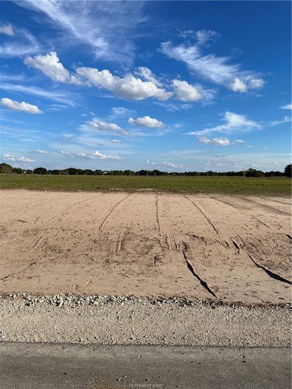10709 Little Farm Road County Road, College Station, TX 77845 for Sale