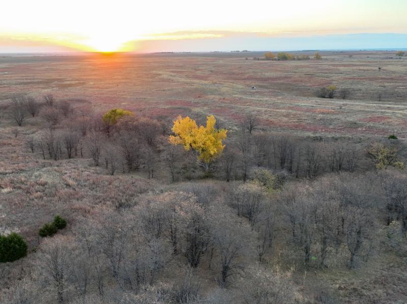 Hill City, Graham County, KS Farms and Ranches, Recreational Property, Hunting Property for sale Property ID: 418522459