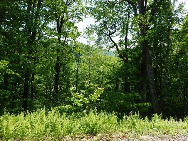 7 FOX DEN RD, Mars Hill, NC 28754 Land For Sale  MLS# 4034962