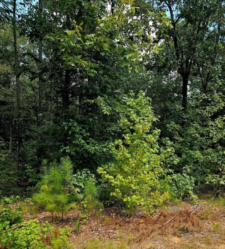 LOT 8 QUAIL RUN, Malvern, AR 72104 Land For Sale  MLS# 23027147