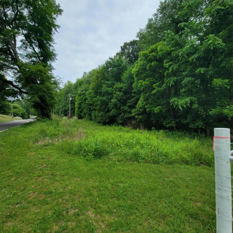 0 BRUSHY FORK ROAD, Newark, OH 43055 Farm For Sale  MLS# 223018697 for Rent