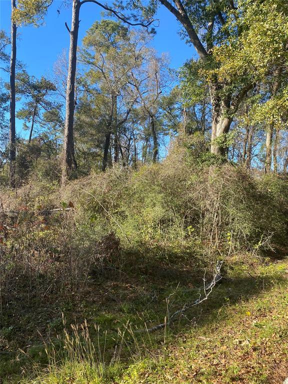 00 Glen Loch Dr, Spring, TX 77380 for Sale