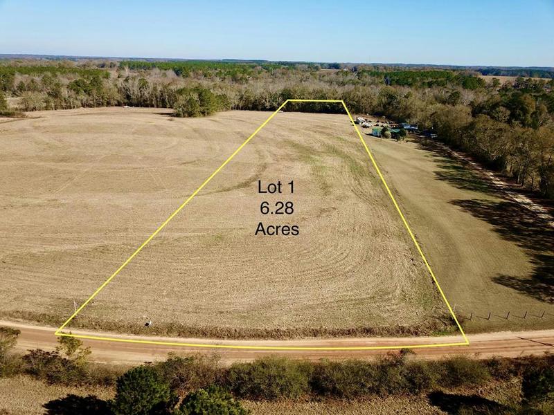 6.28 ACRES GRANT RD, Slocomb, AL 36375 Single Family Residence For Sale  MLS# 195485