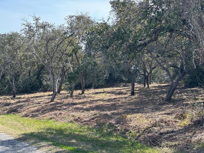 2539 Cr1996, Aransas Pass, TX 78336 for Sale