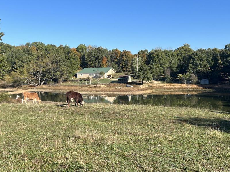 Mountain View, Howell County, MO House for sale Property ID: 418039235