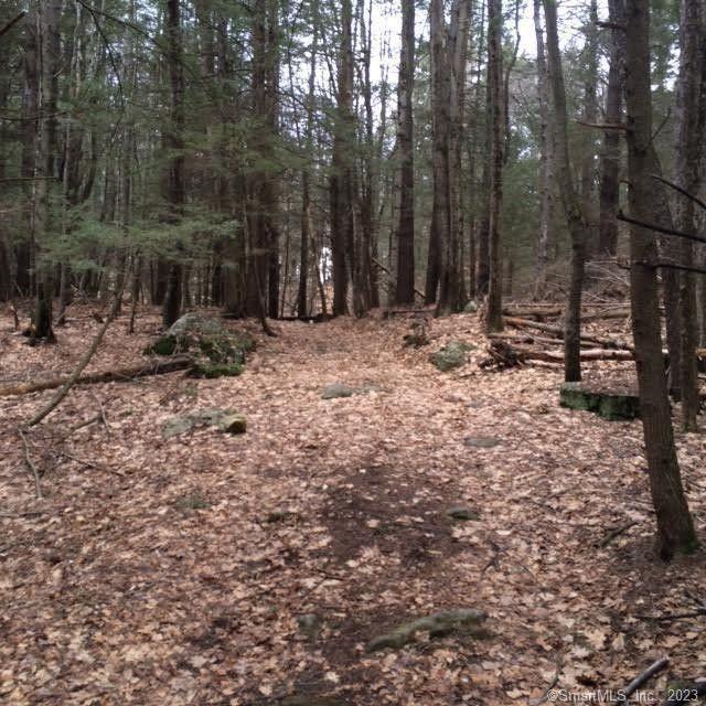 Hartland, Hartford County, CT Undeveloped Land, Lakefront Property, Waterfront Property for sale Property ID: 416795380