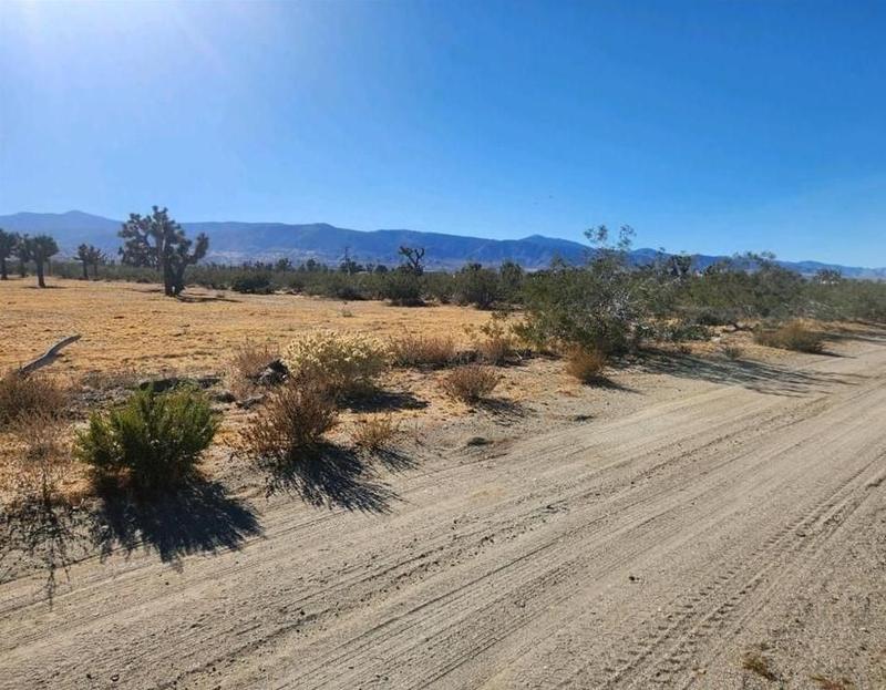 Pinon Hills, San Bernardino County, CA Undeveloped Land, Homesites for sale Property ID: 418485522