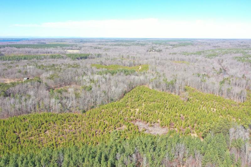 Beaverdam, Hanover County, VA Recreational Property, Timberland Property, Hunting Property for sale Property ID: 415886084