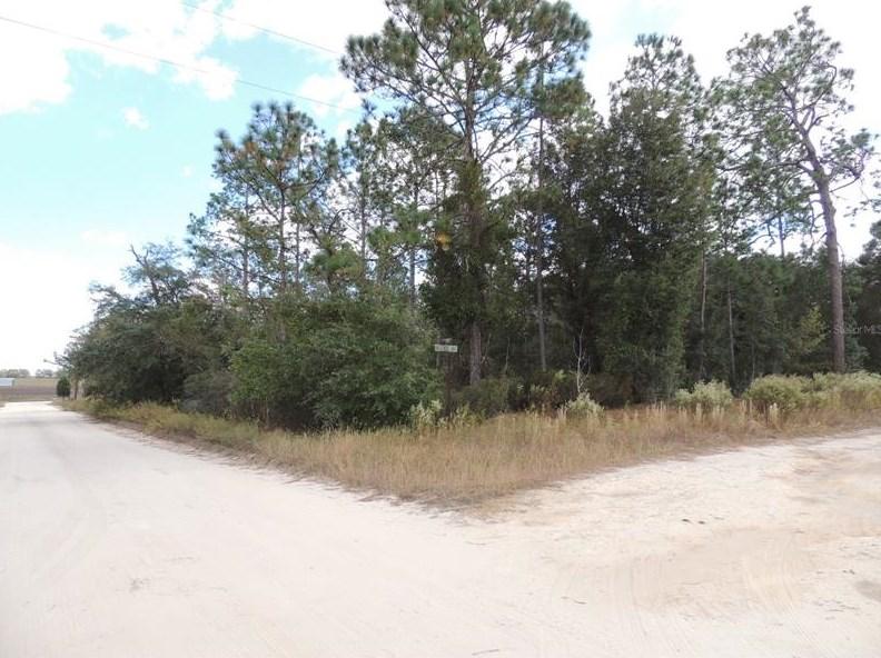 12910 NE 12th St, Williston, FL 32696 - MLS OM647450 for Sale