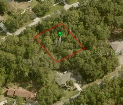 Citrus Springs, Citrus County, FL Undeveloped Land, Homesites for sale Property ID: 417957749