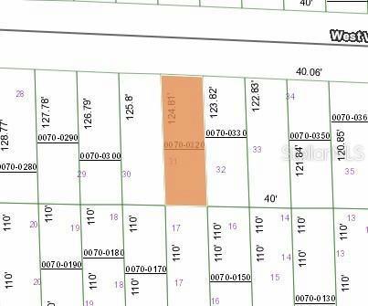 125 W VIRGINIA ST, HAWTHORNE, FL 32640 Land For Sale  MLS# FC296223