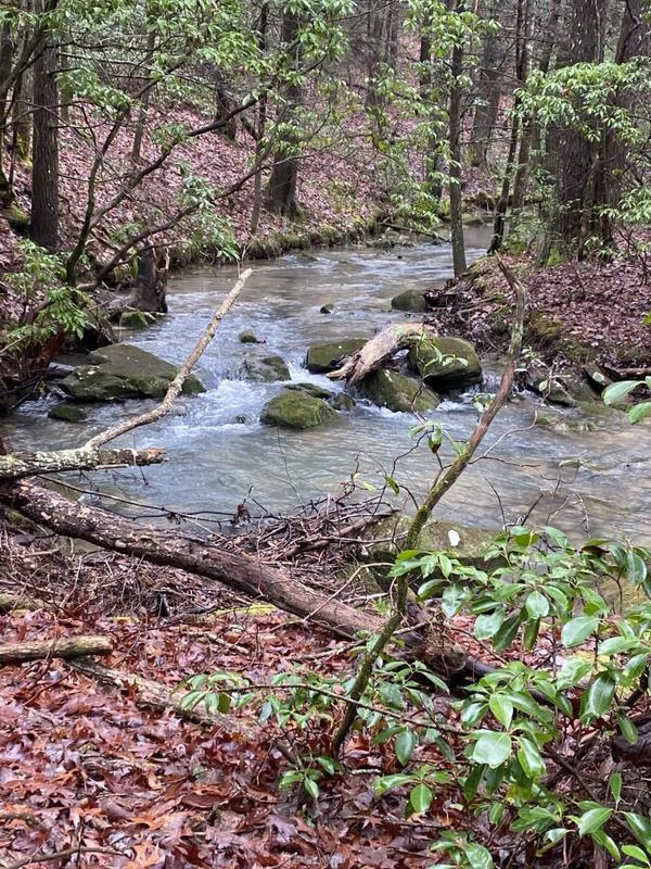 Crossville, Cumberland County, TN for sale Property ID: 415804130
